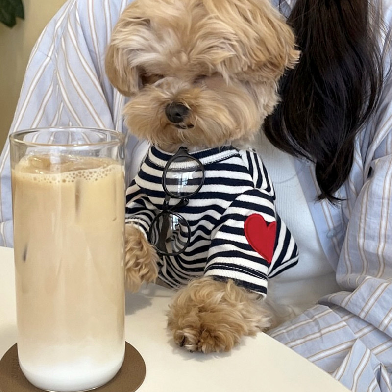 Gilet pour petits chiens, vête - Sleeveless Undershirt avis et prix